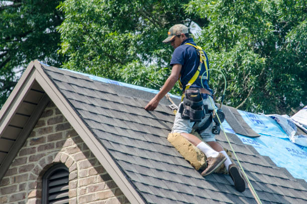 Roof Gutter Cleaning in Buckhead, GA